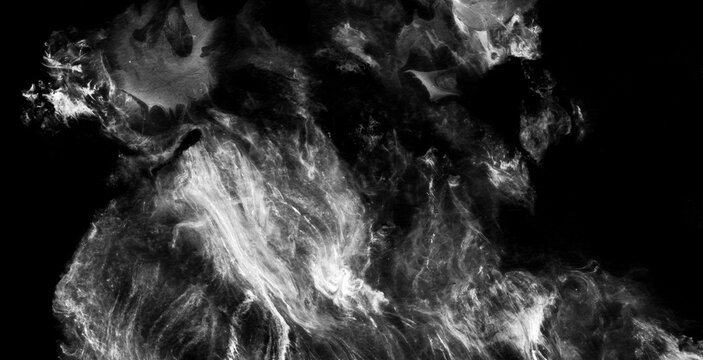 Transpose Abstract Paintings