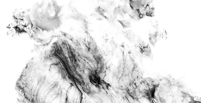 Transpose Abstract Paintings