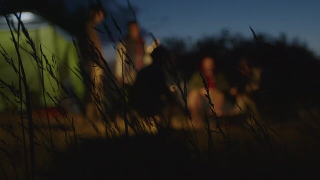 Group of men camping in the wild and gather near the bonfire and talk with each other. Fishermen camping and talk stories at night