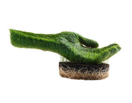 Green grass hand sculpture with soil cross section and roots isolated on a transparent background for ecological design concepts and nature themes visible representing ecology growth