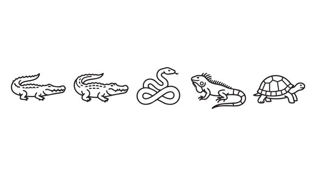 Minimalist reptile line icons set, black and white wild animal vector illustrations, simple crocodile snake iguana and turtle graphics for logos