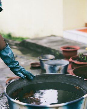 Gloved specialist examines stagnant water collected in an outdoor container, mosquito breeding risk and vector control concept for sanitation, public health and prevention campaigns