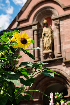Flowers decorate streets and squares in Eguisheim, Alsace