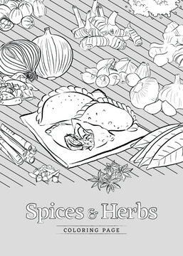 Spices herbs design layout with spices herbs in outline style