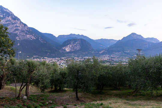Italy, Riva del Garda on Lake Garda. View from above.