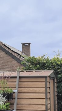 Gardening and maintenance activity in a backyard during the day