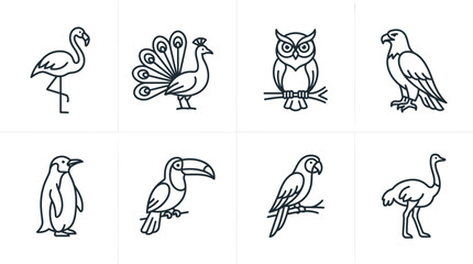 Fototapeta premium Bird line icons set with flamingo peacock owl eagle penguin toucan parrot and ostrich outline signs