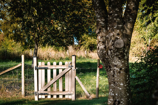 Petite porte en bois fermant un verger