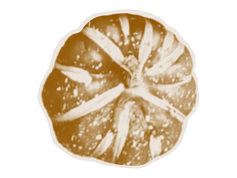 Halftone style pumpkin for greeting card, poster, or banner designs. Dotted texture effect for collages.