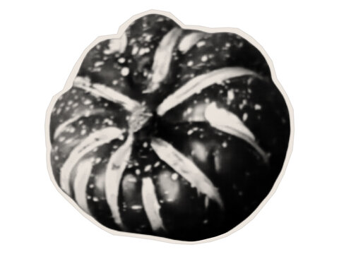 Raw pumpkin. Halloween party decoration sticker. Cutout element made of old paper on a white background.