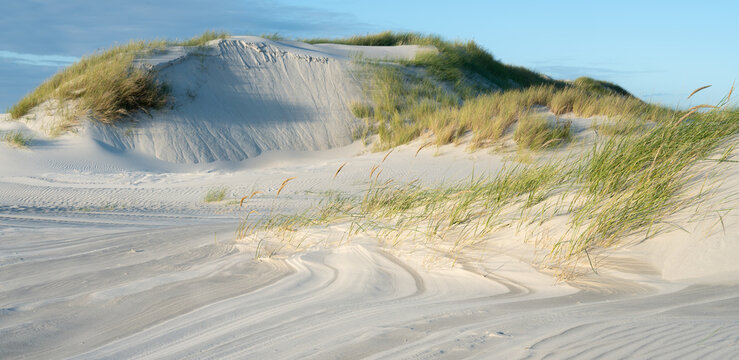 D&uuml;nenlandschaft an der Nordseek&uuml;ste