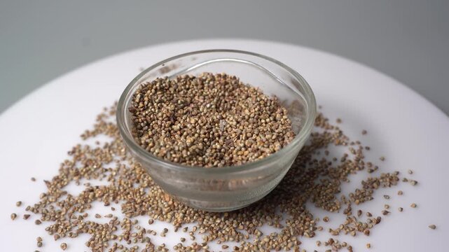 Close up of barnyard millet echinochloa crus-galli grain in a glass bowl on a white surface with spilled seeds for health recipe concept