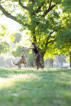 Woman playing with a golden retriever dog in a sunny park, surrounded by green trees and grass, enjoying outdoor leisure time together in a natural setting