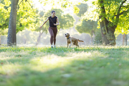 Woman jogging with golden retriever dog in a sunny park surrounded by green trees and grass, enjoying an active outdoor lifestyle in a natural setting