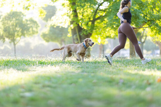 Woman jogging in a park with a golden retriever dog on a leash, surrounded by green trees and sunlight filtering through the leaves in a natural setting