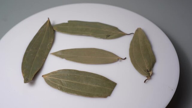Bay leaf Cinnamomum tamala dried spice herb on white rotate close up video footage