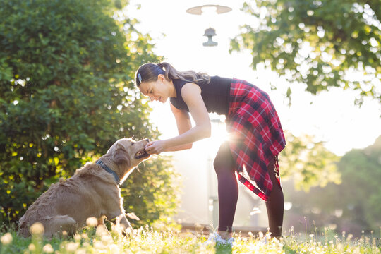 Dog and owner enjoy morning time together in park during sunrise in warm light