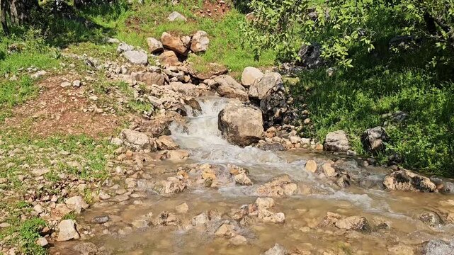 Small stream trickles over rocky ground through a lush green forest clearing beneath a clear spring sky.
📍Ghol, Sarvabad, Kurdistan 