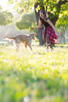 Girl plays with a dog in a park during sunny day surrounded by trees and grass