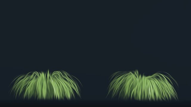 green grass bushes swaying in the wind, nature botanical motion graphic animation video