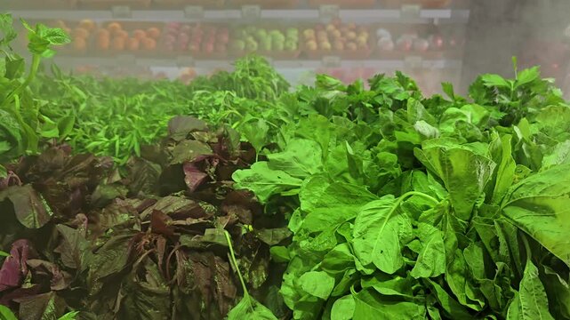 Fresh Green Vegetables Displayed on Counter in Supermarket Market Section