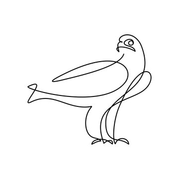 Bird of prey in continuous line art drawing style. Eagle black linear design isolated on white background. Vector illustration