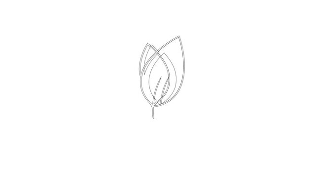 minimalist overlapping leaves line art vector icon, botanical sprout organic symbol animation video