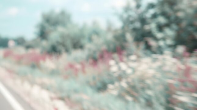 A soft, blurred image of a field with flowers and greenery, creating a dreamy and impressionistic aesthetic