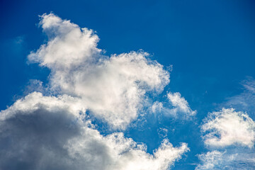 Fototapeta premium Sunlit White Clouds Floating Across a Deep Blue Sky with Copy Space