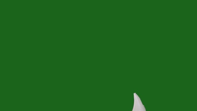 White dove foil balloon rising from bottom to top on green screen.