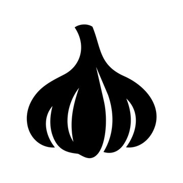 onion vector illustration