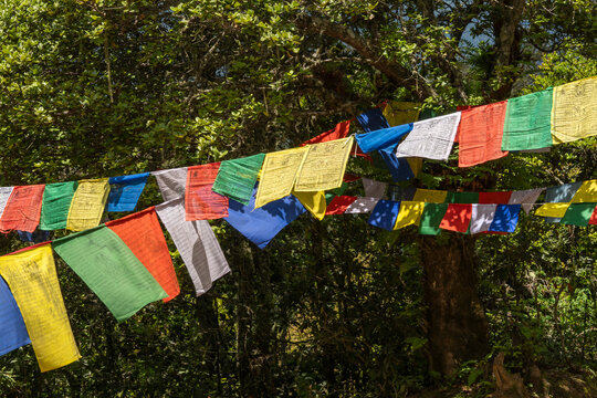 Paro Bhutan, colourful prayer flags on path to tigers nest