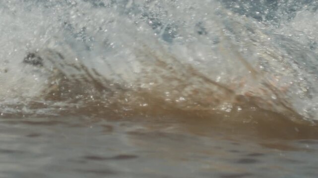 Summer beach and fun. Kids have fun and jump into the river from the sandy beach