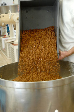 Panforte Margherita di Siena is a typical food from Siena Tuscany Italy. Preparing Panforte in a cake factory in Siena
