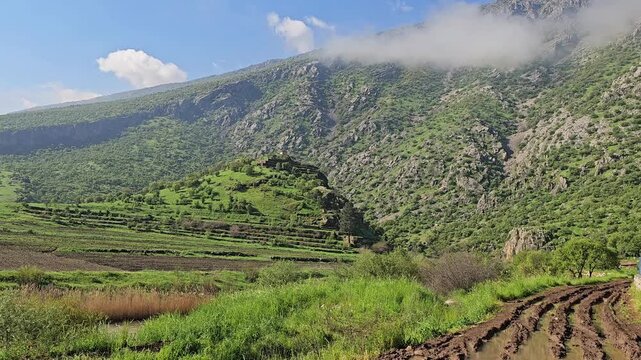 Dramatic muddy dirt road winds toward mist-shrouded, forest-covered mountains, bordered by a rustic stone wall and lush green terraced fields. 
📍Ghol, Sarvabad, Kurdistan
