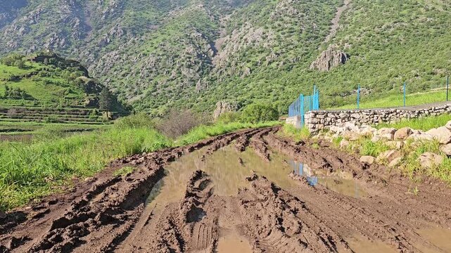 Dramatic muddy dirt road winds toward mist-shrouded, forest-covered mountains, bordered by a rustic stone wall and lush green terraced fields.
📍Ghol, Sarvabad, Kurdistan 