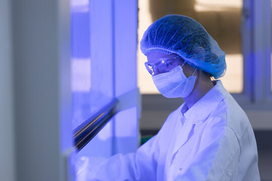 Women scientist handles laboratory samples inside safety cabinet while wearing protective gear. scientist, laboratory, research, biosafety, science. Biosafety research concept.