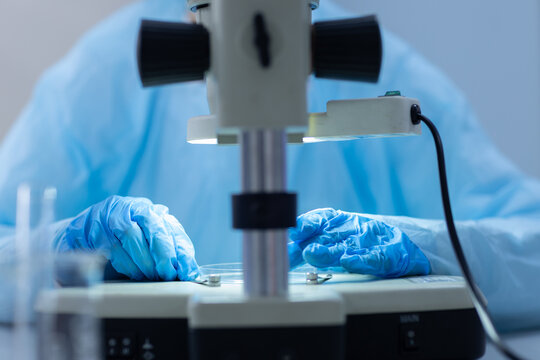 Scientist hands working with microscope and sample in laboratory for scientific research, microscopy, biotechnology, microbiology, precise analysis, medical testing, laboratory examination.