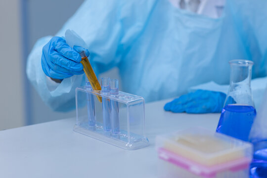 Scientist examines test tube with yellow liquid during scientific research. laboratory, testing, scientist, research, chemistry. Laboratory testing concept.