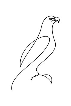 Bird of prey in continuous line art drawing style. Eagle black linear design isolated on white background. Vector illustration