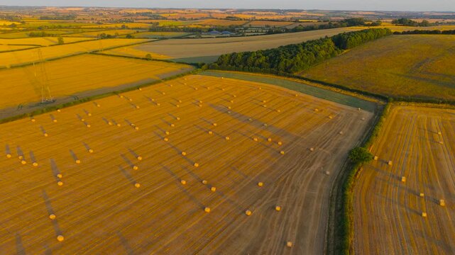 Round hay bales across harvested fields with long shadows and power lines in rolling countryside. Golden hour agricultural landscape after harvest. Farm output, biomass resources and agribusiness