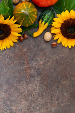 Fall seasonal arrangement of pumpkins, sunflowers and gourds with copy space