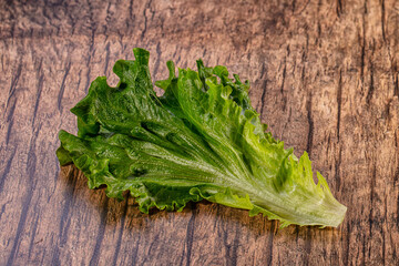 Fresh green salad leaf on a textured brown wooden background © Andrei Starostin