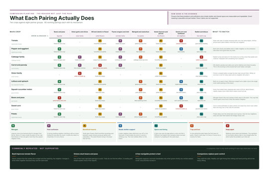 Companion planting chart that gives the reason for each pairing