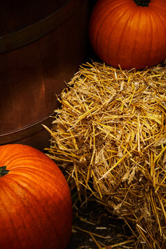 Autumn harvest still life with ripe orange pumpkins and straw bale beside rustic wooden barrel