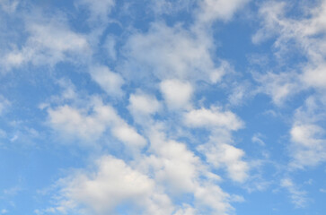 Fototapeta premium Bright blue sky with fluffy white clouds scattered across the sky. Nature , beautiful weather , peaceful sky and clouds landscape.