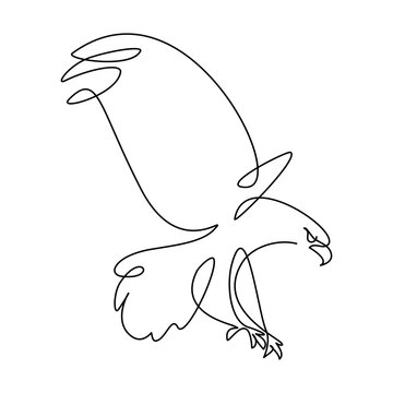 Bird of prey in continuous line art drawing style. Hunting eagle black linear design isolated on white background. Vector illustration