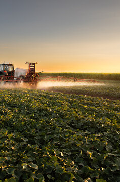 A tractor spraying soil and vegetable in a field.