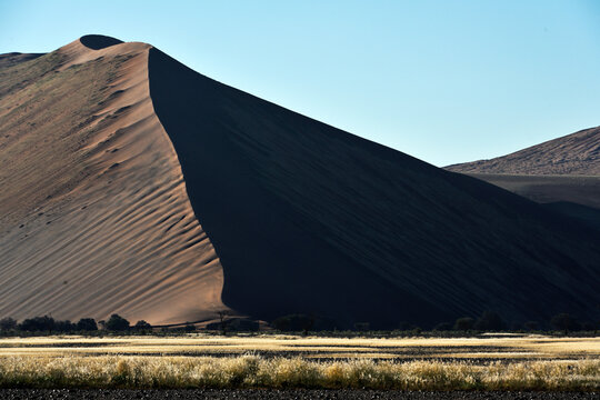 Desert landscape - sand dunes, savanna and grass