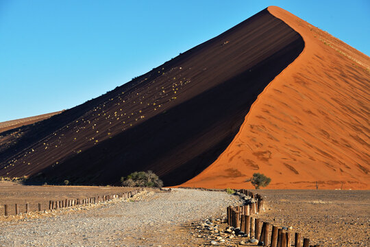Dune 45 in the Namib Naukluft Desert